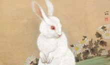 既有爱心又有耐心的三大生肖男，为了老婆三顾茅庐也甘愿