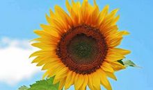 19年最后2月，喜中头彩，3属相财源滚滚到，富贵四方来