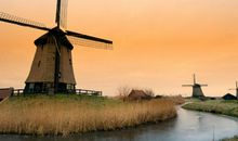 鼠年的开门红口号，这些口号既响亮又红火