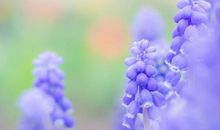 最珍惜时间、不让时间悄然溜走的4个星座，做事成功率大