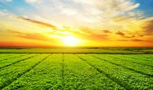 16顺、17财，运势极旺，钞票堆满屋，富贵逃不掉的3属相