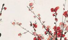 农历2020年腊月十二月二十二立春出生的男孩起什么名字好听