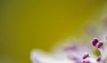 下个星期起财神眷顾贵气足，财运八方逢源，金银四面涌来的生肖