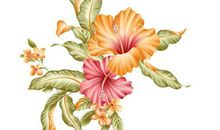 农历2020年一月正月初六出生的女孩命运好吗，怎么八字取名字