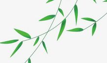 农历2020年一月正月初十出生的男孩命运好吗，怎么八字取名