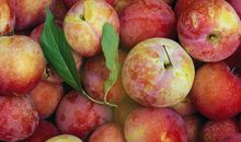 为了美，再冷也要穿裙子的生肖女