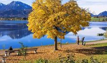 属兔女和属牛男有缘分吗 会相冲相克吗(图文)