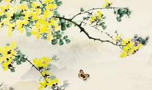 2020年属鼠立夏前出生好吗，一开始就被阳光照耀，飞黄腾达