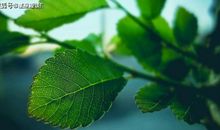 天蝎座单身的原因有哪些？