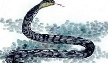 四月份这几大生肖就开始牛气冲天，事业一直高涨，此生飞黄腾达