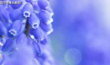 在4月份，好运加持，如愿以偿，心满意足的三大星座