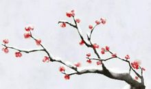 宝宝取名：2020年2月11号的出生男孩怎么结合八字起名字