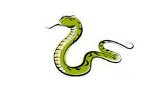 属蛇人2020年佩戴什么开运吉祥物吊坠和手链首饰好