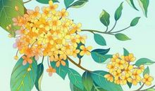 宝宝取名：2020年2月6号的出生男孩怎么结合八字起名字