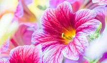 在3月份，苦尽甘来，贵人相助，尽心尽力的四大星座