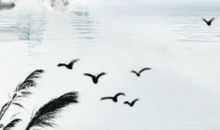 农历2019十二月二十出生的女孩命好吗，要怎么起名