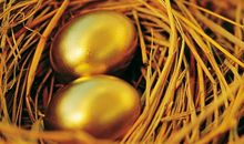 实不相瞒：3月3.4号起，运气上佳，横财入命，前途光明的属相