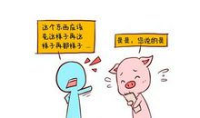 属猪男和属兔女在一起相配吗