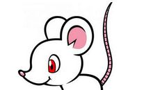 十二生肖2月运势大全，谁的运气最好？