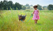 朱姓姓氏女孩名大全