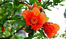 你的人品，就是你的风水