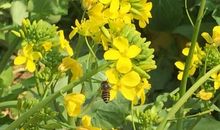 未来两年要翻身的4属相，生活变得游刃有余，有满满的收获