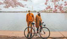 划重点！这些星座不拒绝就是有戏