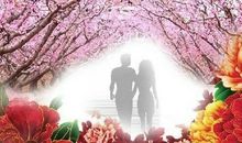 从生肖看你的桃花运如何？未婚已婚都要看