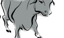 关于属牛人的风水知识了解