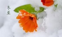 节日冬至要不要上坟 冬至讲究家人团圆！(图文)