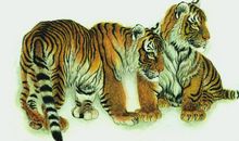 四月运势高升，好运连连，职场顺利的四大生肖