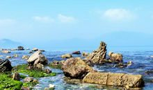 3月下旬，喜事临门，不缺好运，事事顺利的四个生肖