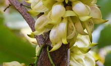 生肖属鼠人与十二生肖协作吉凶解析