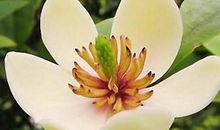 恭喜四生肖好运连连不断，万事定能顺心如意，一生锦绣前途