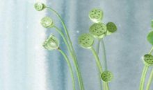 装修讲究什么风水 注意横梁高低