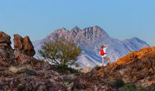 Pandora占星小巫一周塔罗运势（12.30-1.5）