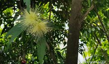 吐纳和风水，治愈多年咳嗽流鼻血