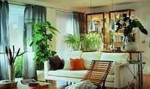 哪些风水让女生嫁不出去