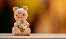 19年是否是生肖猪年