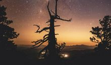 唐立淇2020年十二星座上半年运势