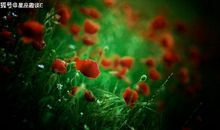 3月下旬，喜讯来袭，甜言蜜语，携手与共的三大星座