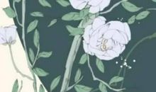 宝宝起名：2020年12月16号出生的男孩根据楚辞起名字