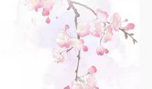 生肖属马的妈妈和什么生肖属相的孩子是六合，马与羊六合