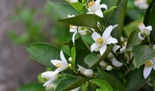 5月10号起，长夜漫漫，孤枕难眠，4个星座将重拾爱情