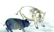 这三个生肖女，重情重义，婚后能够旺夫旺家！