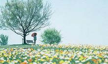 这三大生肖在11月12日后开始，菩萨保佑、横财连连进门