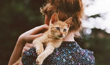 热闹中只想隐身角落的独孤星座