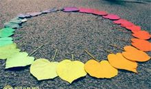 揭秘：十二生肖的幸运数字