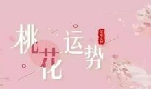 星座女神2月桃花运|放下过去，才能拥抱幸福