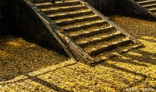 我家老屋的风水印证